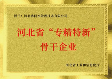 “專(zhuān)精特新”骨干企業(yè)